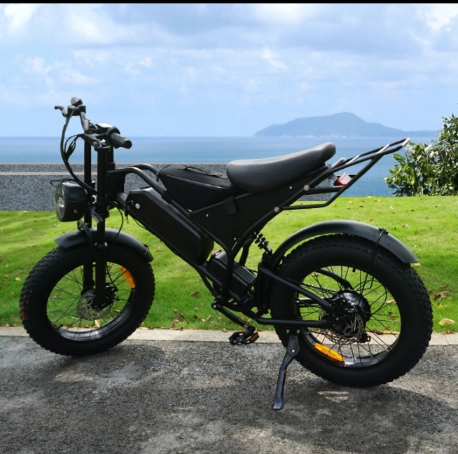 PRIDWILL electric bike
